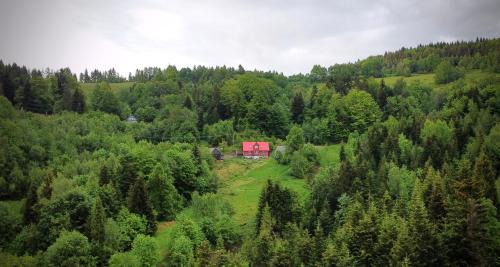gmina Kamienica House | Przysiółek Flądrówka - Dom na odludziu z widokiem na Gorce i Tatry