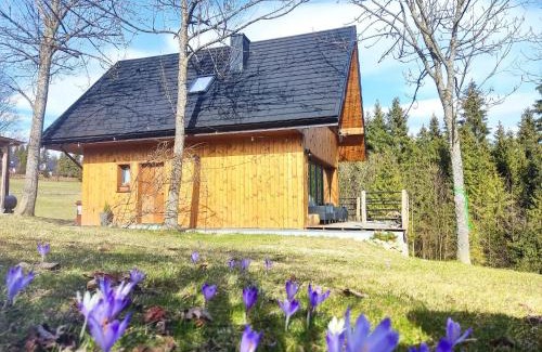 Nowy Targ Ski Chalet | Przystanek Gorce