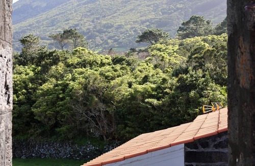 Santo Amaro House | Comfortable stone house in Pico