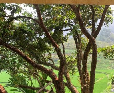 Kho Muong Cabin | Pu Luong Ecostay