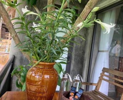 Kho Muong Cabin | Pu Luong Ecostay