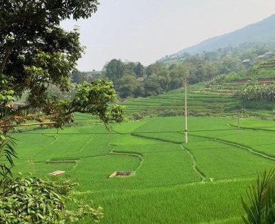 Kho Muong Cabin | Pu Luong Ecostay