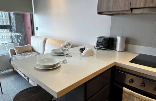 Pucon Apartment | Pucon beautiful apartment very complete