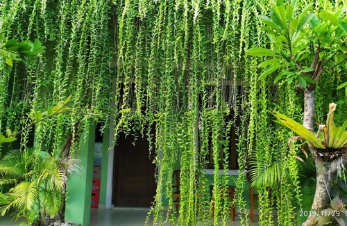 Kuta House | PURNAMA HOUSE KUTA