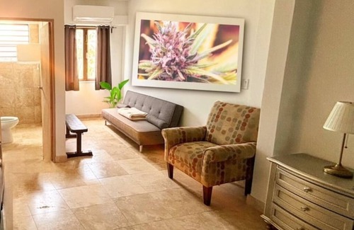Hato Abajo Bed & Breakfast | Purple Haze@BednBongExpnn