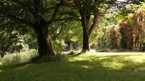 Katikati House | Purple Hen Country Lodge