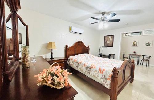 Tampa Apartment | Pyramid Studio + free parking&wifi/5%off