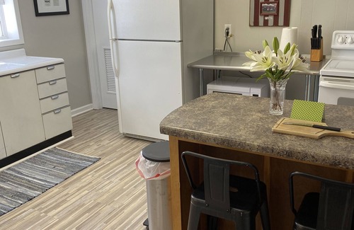 Starkville Apartment | Quaint Basement Apartment within walking distance to MSU!