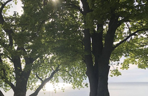 Port Austin House | Quaint Cottage located on Lake Huron