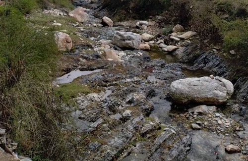 Kaul Cottage | Quaint exclusive cottage in heart of a lush forest, beside a stream!!