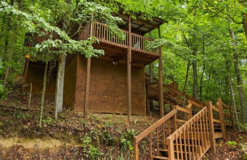 Stanton Cabin | Quaint, heavily forested cabin, mountain valley view.