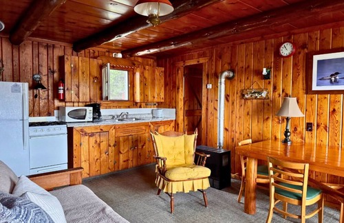 Trout Lake Cabin | Quaint Lakefront Cabin #2 on Frenchman Lake in Trout Lake, MI with row boat