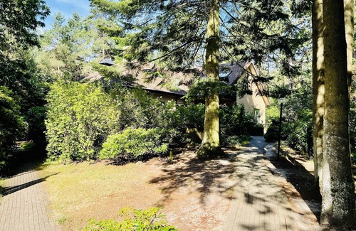 Doornspijk Villa | Quaint Villa in Doornspijk with Swimming Pool