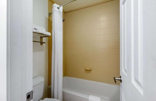 Clute Hotel | Quality Inn Clute Freeport
