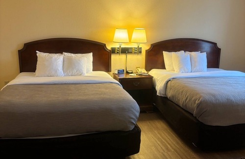 Bellville Hotel | Quality Inn & Suites Bellville - Mansfield