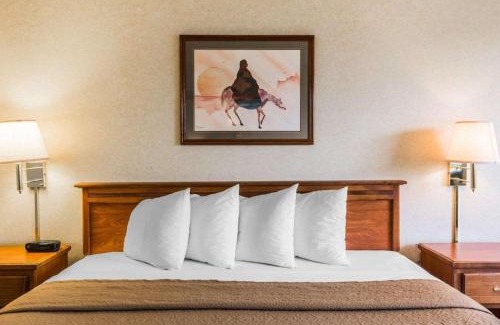 Montrose Hotel | Quality Inn & Suites Montrose - Black Canyon Area