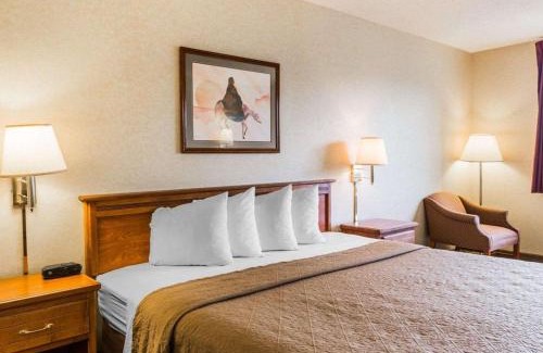 Montrose Hotel | Quality Inn & Suites Montrose - Black Canyon Area