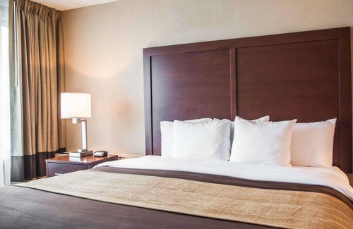 Orland Hills Hotel | Quality Inn & Suites Orland Park - Chicago