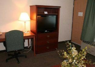 Tarpon Springs Hotel | Quality Inn & Suites Tarpon Springs South