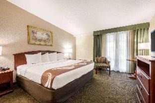 Tarpon Springs Hotel | Quality Inn & Suites Tarpon Springs South
