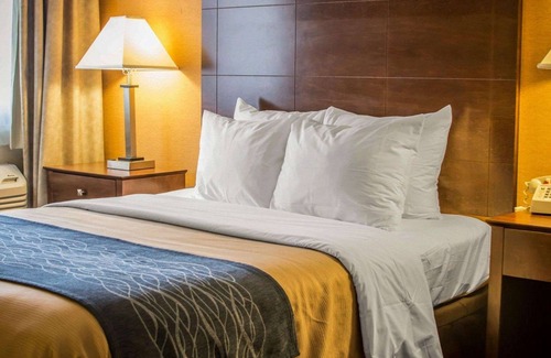 Port Huron Hotel | Quality Inn & Suites