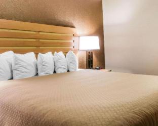 Warren Hotel | Quality Inn & Suites Warren - Detroit