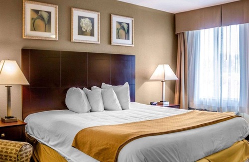 Waterbury Hotel | Quality Inn Waterbury East