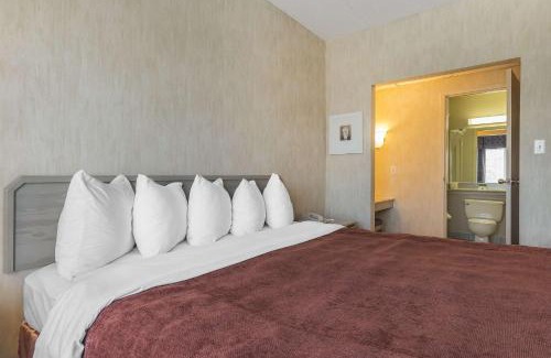 Whitby Hotel | Quality Suites
