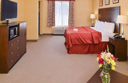 Stratford Hotel | Quality Suites