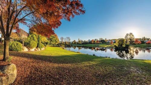 Stanthorpe House | Quart Pot House