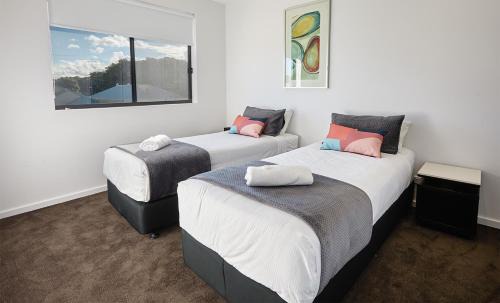 Carrington Apartment | Quattro On Young