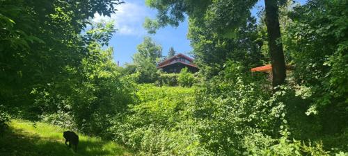Lasinja House | Queen bee's nest