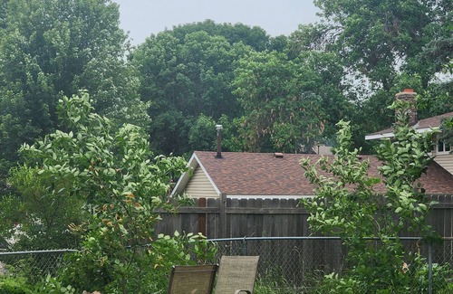 Cottage Grove House | Queer Friendly Home/Be Yourself/All Are Welcome Here