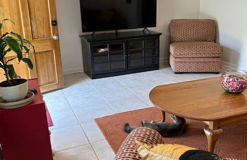 Bayou St. John Apartment | Quiet 2 BDRM/1 Bath with swimming pool