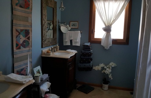 Homer Glen House | QUIET 4 BEDROOM HOME ON A CUL DE SAC