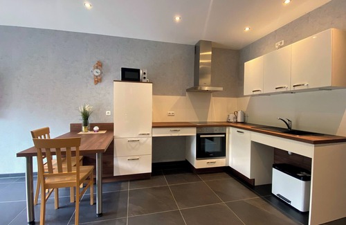 Schmidt Apartment | Quiet barrier-free vacation apartment by the pond in Schmidt Pet-friendly