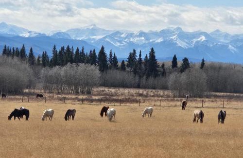 Calgary House | Quiet Country Cabin
