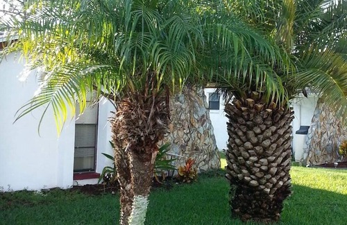 Hudson House | Quiet Gulf Canal Neighborhood with Enclosed Lanai & Heated Pool EV friendly