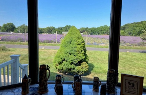 East Marion House | Quiet Oasis Near Greenport and Safe Harbor Marina with Views of Lavendar Farm