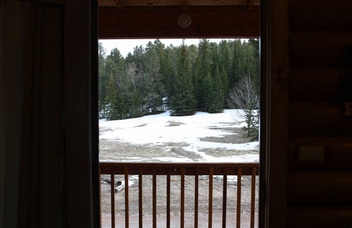 Lead House | Quiet, Private and Comfortable nestled on 8 acres of private property