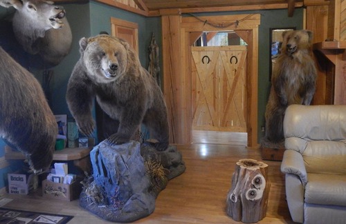 Meeteetse Bed & Breakfast | Quiet ranch setting over looking the Greybull River valley with mountain views