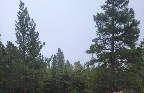 Black Hawk RV Rental | Quiet, Rural, Colorado Mountains Campground