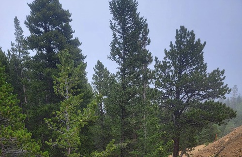 Black Hawk RV Rental | Quiet, Rural, Colorado Mountains Campground