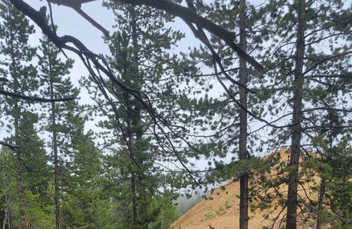 Black Hawk RV Rental | Quiet, Rural, Colorado Mountains Campground