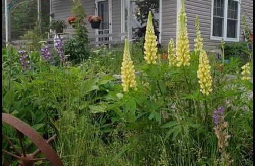 Port Hilford Cottage | Quiet seaside cottage, close to Historic Sherbrooke Village. No pets allowed.