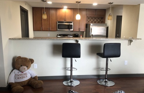 Indianapolis Apartment | Quiet, Secure, Luxury, Cozy Apartment