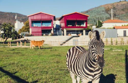 Arouca House | Quintãs Farm Houses