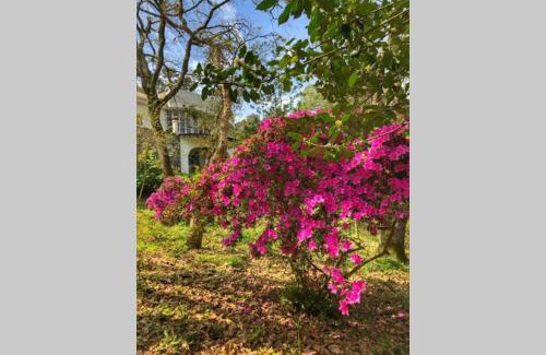 Ulgueira Apartment | Quinta biológica, com vista, na Serra de Sintra
