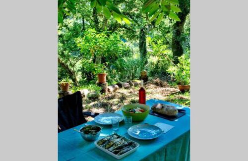Ulgueira Apartment | Quinta biológica, com vista, na Serra de Sintra