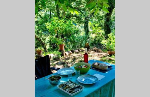 Ulgueira Apartment | Quinta biológica, com vista, na Serra de Sintra